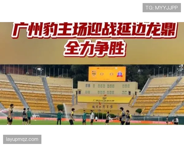 广州豹近期主场不败战绩引关注，新援融入与锋线效率成关键